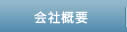 ЊTv